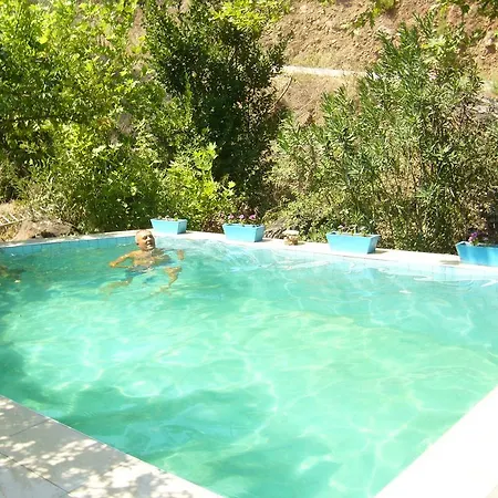 Holiday home Waldvilla *