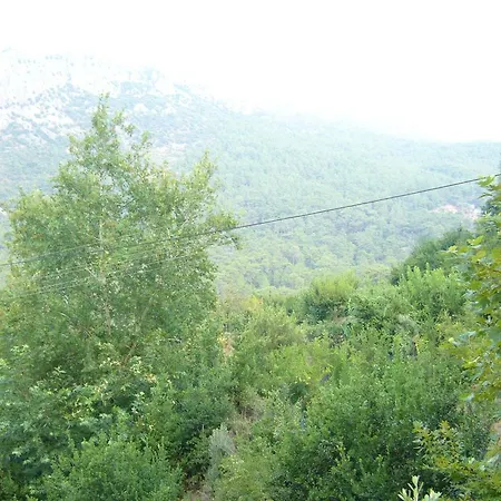 Waldvilla Holiday home Kumluca