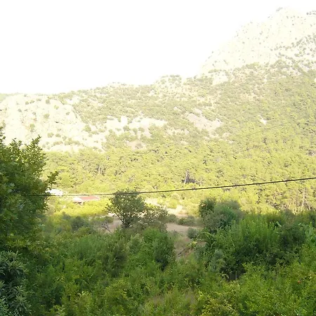 Holiday home Waldvilla
