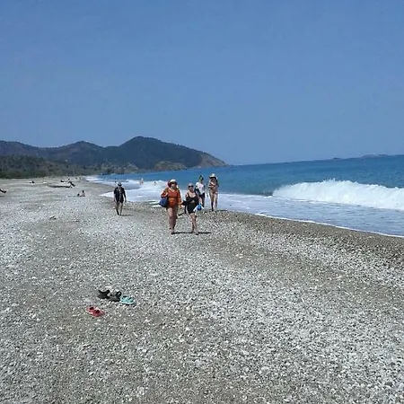 Holiday home Waldvilla *