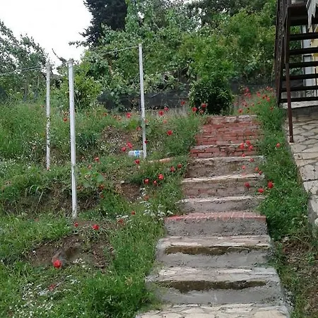Holiday home Waldvilla *