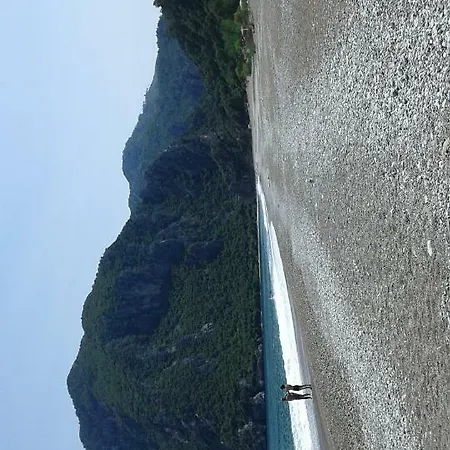 Waldvilla Holiday home Kumluca