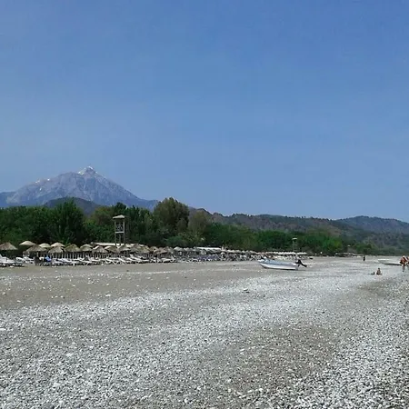 Waldvilla Holiday home *